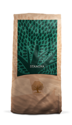 Essential Foods - Brok-  Stamina - 10 kg